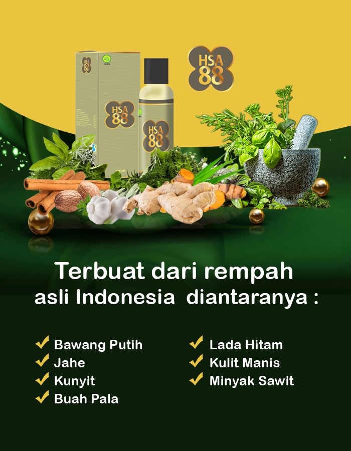 b-hsa88